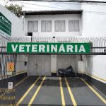 Imagem ilustrativa da empresa Clivepa - Clínica Veterinária do Pará Ltda. Mais de 50 anos cuidando da saúde de pets. em Belém - PA