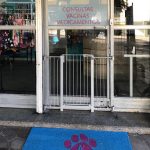 Imagem ilustrativa da empresa Consultório Veterinário Dra Maristela Armiliato em Porto Alegre - RS