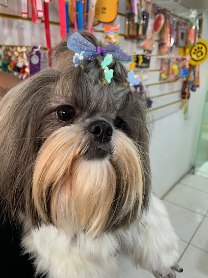 Consultório Veterinário e Pet Shop - Reino dos Pet's em Salvador - BA
