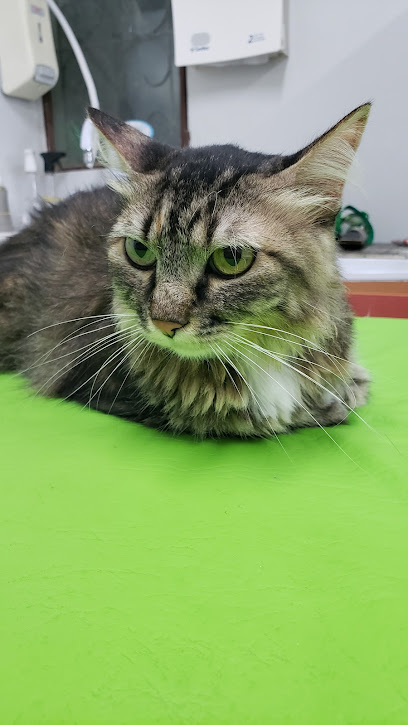 Consulvet Clínica Veterinária em Maceió - AL
