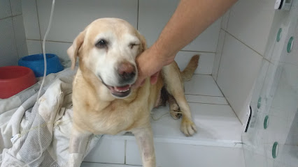 Imagem ilustrativa da empresa Criebem Veterinários em Porto Alegre - RS