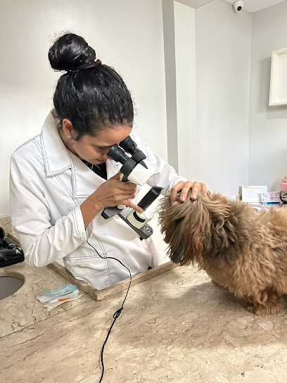 Curapet Clínica veterinária em Fortaleza - CE