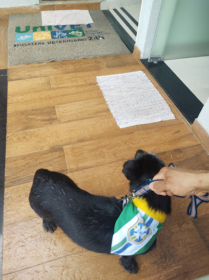 CVP - Clínica Veterinária - Centro Veterinário Prófilo - Cirurgias - Consultas - Internação em Ribeirão Preto - SP