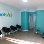 Imagem ilustrativa da empresa DamVet - Neurologia e Clínica Veterinária em Ribeirão Preto - SP