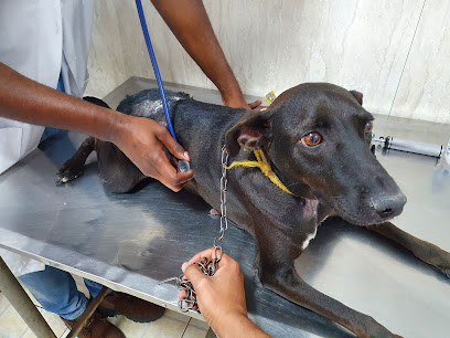 DARAS VET Clínica Veterinária & Pet Shop e Banho e tosa em Salvador - BA