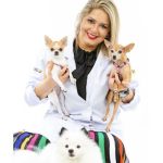 Imagem ilustrativa da empresa Day Clinic Pet Clínica Veterinária em Recife - PE
