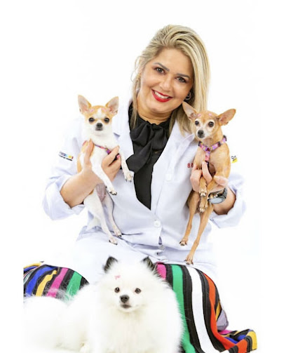 Day Clinic Pet Clínica Veterinária em Recife - PE