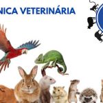 Imagem ilustrativa da empresa DM Clínica Veterinária em Curitiba - PR