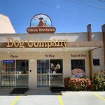 Imagem ilustrativa da empresa Dog Company Veterinária 24 horas em Goiânia - GO