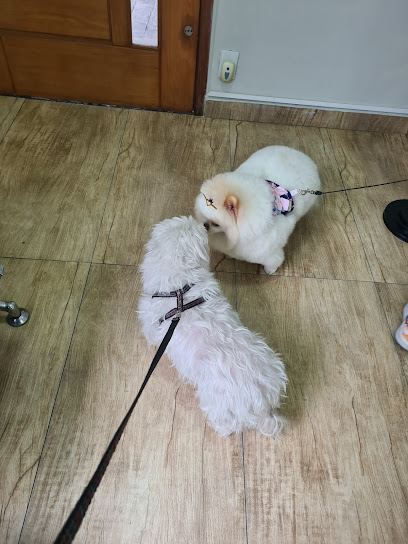 Dognostic Guarulhos - Veterinário em Guarulhos - SP