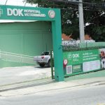 Imagem ilustrativa da empresa DOK - Hospital Veterinário de Guarulhos em Guarulhos - SP