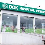 Imagem ilustrativa da empresa DOK - Hospital Veterinário São Luís em São Luís - MA
