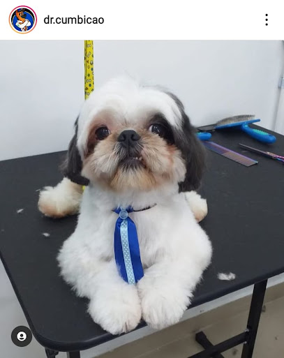 DR. CUMBICÃO - Clínica Veterinária, Banho & Tosa e Castrações | Cumbica Guarulhos em Guarulhos - SP