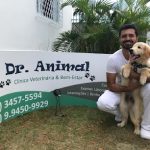 Imagem ilustrativa da empresa ️ Dr. Vida Animal - Clínica Veterinária & Pet Shop - 24 Horas em Belo Horizonte - MG