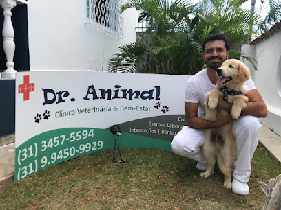 Imagem ilustrativa da empresa ️ Dr. Vida Animal - Clínica Veterinária & Pet Shop - 24 Horas em Belo Horizonte - MG