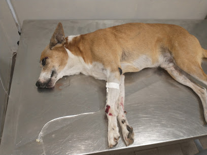 Dr. Wagner G. Mello Clínica Veterinária em Maceió - AL