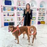 Imagem ilustrativa da empresa Dra. Carinne Araújo DermVet - Dermatologia Veterinária em Belém - PA
