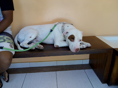 Dra Carla Veterinária Centenário em Duque de Caxias - RJ