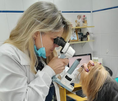 Dra. Laura Sannazzaro - Oftalmologia Veterinária - Sorocaba/SP em Sorocaba - SP