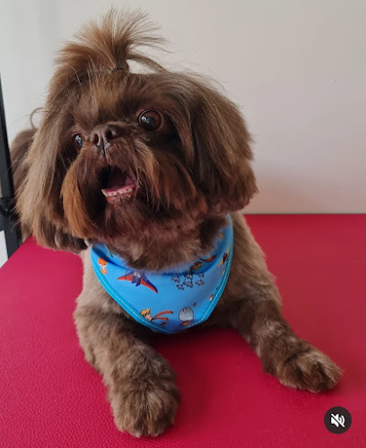 Drª Lívia H. S. Pierozzi Hirata - Médica Veterinária em Campinas - SP