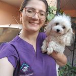 Imagem ilustrativa da empresa Dra. Mayara Freitas (Veterinário em Domicílio) em Fortaleza - CE