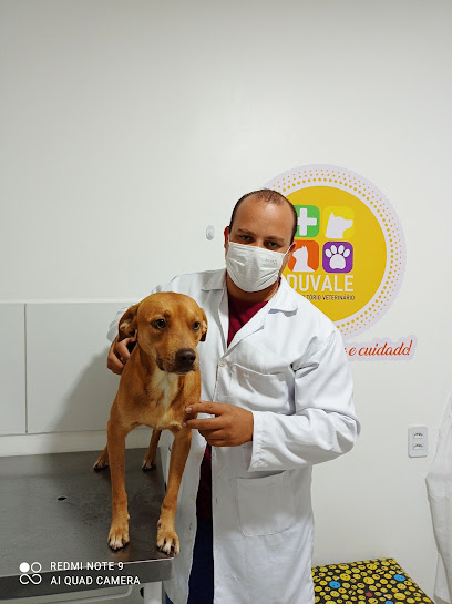 Duvale Consultorio Veterinário em Salvador - BA