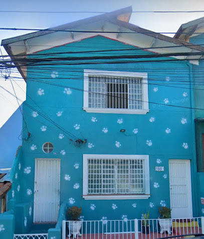 Espaço dos Pets Ricardo Chiarato - Veterinário em Guarulhos - SP