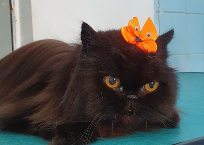 Espaço Pets - Veterinário em Osasco - SP