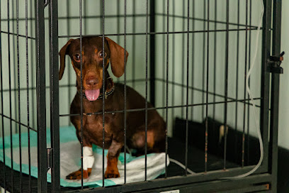 Família Animal - Clínica Veterinária 24h em Campinas - SP
