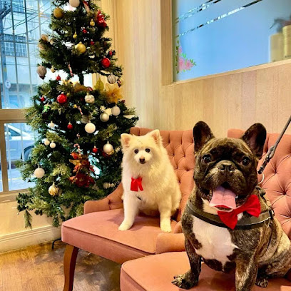 Fanvet | Clínica Veterinária em São Paulo - SP