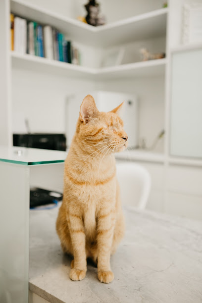 Felina Clínica para Gatos - Veterinário em Salvador - BA