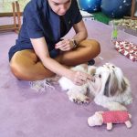 Imagem ilustrativa da empresa FisioPet - Centro de Reabilitação Animal - Veterinário em Ribeirão Preto - SP