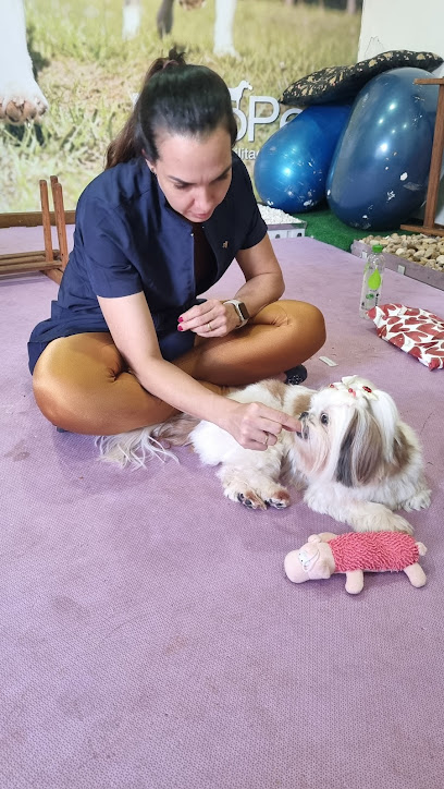 FisioPet - Centro de Reabilitação Animal - Veterinário em Ribeirão Preto - SP