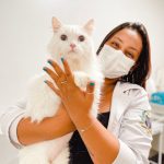 Imagem ilustrativa da empresa Flávia Pereira - Medicina Felina - Clínica Geral e Nefrologia Veterinária em Ribeirão Preto - SP