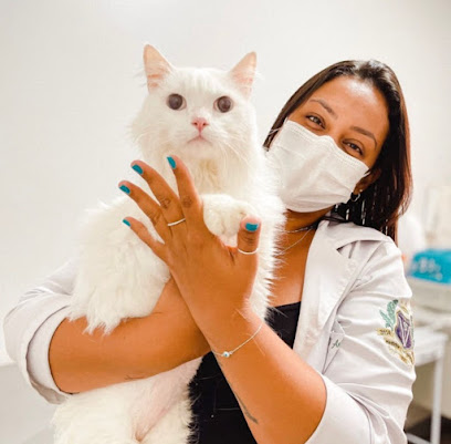 Flávia Pereira - Medicina Felina - Clínica Geral e Nefrologia Veterinária em Ribeirão Preto - SP