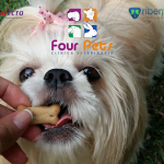 Imagem ilustrativa da empresa Four Pets Clínica Veterinária e Pet Shop em Ribeirão Preto - SP