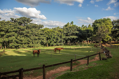 GOIÂNIA, SAÚDE RURAL CLÍNICA VETERINÁRIA, GOIÂNIA - GO em Goiânia - GO