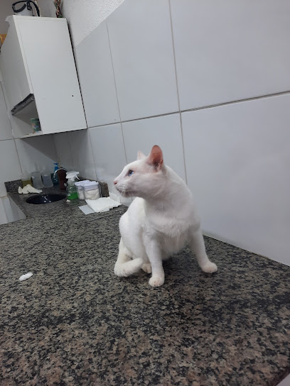 Imagem ilustrativa da empresa Golden pet - Petshop e Clínica veterinária em Fortaleza - CE
