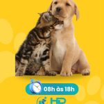 Imagem ilustrativa da empresa HD Clínica Veterinária em Fortaleza - CE