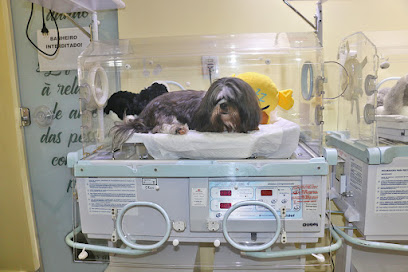 Helou Vet Clínica - Veterinário em Goiânia - GO
