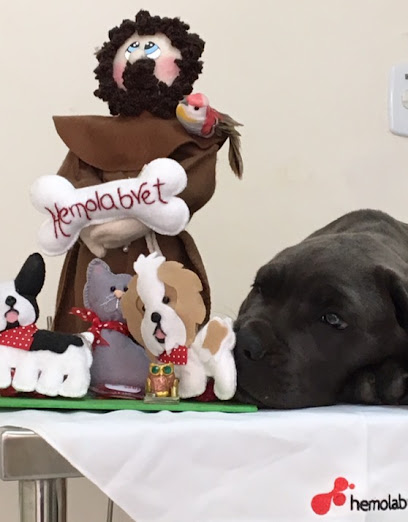 HEMOLABvet - Laboratório de Patologia Clínica, Microbiologia e Hemocentro Veterinário. em Ribeirão Preto - SP