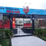 Imagem ilustrativa da empresa Heróis de Quatro Patas Clínica Veterinária em Curitiba - PR