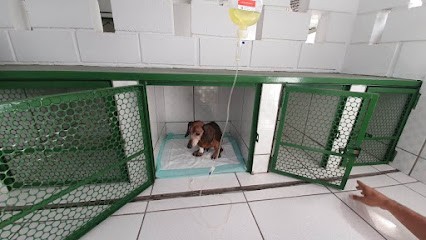 Imagem ilustrativa da empresa Hipervet Veterinária em Belo Horizonte - MG
