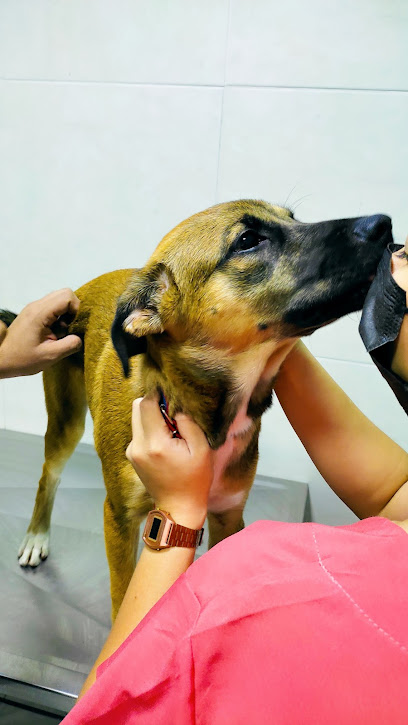 Hospital AdrisseVet - Veterinário em Fortaleza - CE