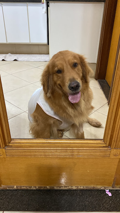 Hospital Clínico Especializado Veterinário HCEVET em Ribeirão Preto - SP