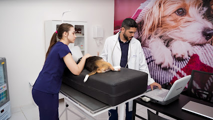 Hospital Lemani Pet 24h - Veterinário em Fortaleza - CE