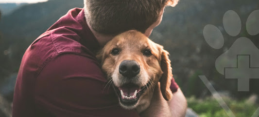 Hospital Vet Levet - O melhor de Curitiba - Veterinário em Curitiba - PR