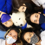 Imagem ilustrativa da empresa Hospital Veterinário 24 Horas ProntVet - Casa Verde em São Paulo - SP