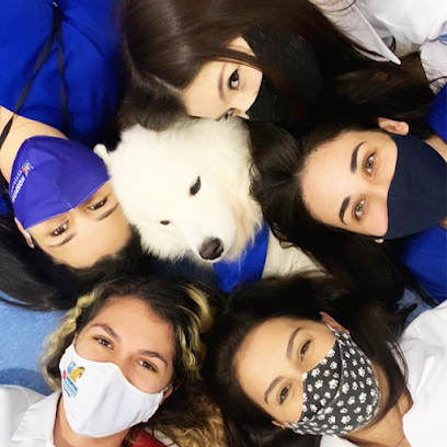 Hospital Veterinário 24 Horas ProntVet - Casa Verde em São Paulo - SP