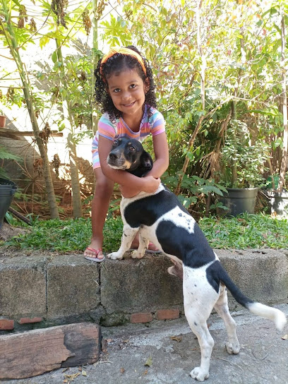 Hospital Veterinário África 24 horas Pimentas em Guarulhos - SP
